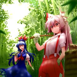  2girls backpack bag bamboo bamboo_forest blue_dress blue_hair dress forest fujiwara_no_mokou gloves green_gloves hair_ribbon hand_in_pocket hat highres kamishirasawa_keine long_hair looking_away multiple_girls nature noel_(noel-gunso) open_mouth pants puffy_sleeves red_eyes ribbon shade shirt short_sleeves smile touhou white_hair 