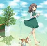  1girl animal barefoot blush brown_fur buttons cat character_request closed_mouth collared_shirt couch cup double-breasted dress full_body fur green_dress highres holding_cup jumper koyubi_right long_hair long_sleeves plant pleated_dress pointy_ears potted_plant reflection shirt sleeveless sleeveless_dress smile soles solo teapot text toes translation_request vocaloid walking walking_on_liquid water whiskers white_shirt wing_collar yellow_eyes 