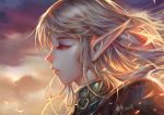  1girl 2016 armor blonde_hair clouds deedlit elf eyelashes face from_side long_hair pointy_ears portrait profile record_of_lodoss_war sky solo wind wuduo 