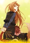  1girl :d animal_ears arms_behind_back ayakura_juu blush brown_hair fang food holding holo long_hair looking_at_viewer looking_back official_art open_mouth pouch red_eyes skirt smile solo spice_and_wolf tail wheat wolf_ears wolf_tail yellow_background 