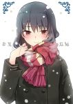 1girl black_hair blush coat kirihara_izumi long_hair looking_at_viewer red_eyes sawashiro_yoru scarf snowing solo sore_wa 