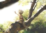  1girl back bare_arms bare_shoulders bird from_behind in_tree inubashiri_momiji nature outstretched_arm pants sarashi short_hair silver_hair sitting sitting_in_tree solo tail tohya touhou tree wolf_tail 