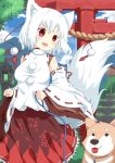  1girl albino animal_ears blush collar detached_sleeves dog fang hat inubashiri_momiji japanese_clothes l4no long_sleeves looking_down open_mouth pom_pom_(clothes) red_eyes rope shimenawa shirt short_hair skirt smile string tail tokin_hat tongue tongue_out torii touhou white_hair wide_sleeves wolf_ears wolf_tail 
