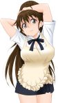  1girl apron arms_up brown_eyes brown_hair highres lips long_hair ponytail solo standing taneshima_popura toshipiyo waitress working!! 