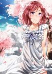  1girl blush cherry_blossoms highres love_live!_school_idol_project napo8593 nishikino_maki redhead short_hair solo violet_eyes 