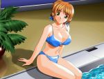  1girl arms_at_sides bikini breasts character_request cleavage collarbone copyright_request female hair_ribbon inaba_yoshiki looking_at_viewer plant pool potted_plant ribbon sitting soaking_feet solo source_request swimsuit water 
