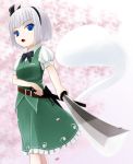  hitodama konpaku_youmu konpaku_youmu_(ghost) lo_(rogu_ryouiki) myon sword touhou weapon 