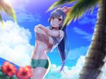  1girl :o akira_(natsumemo) black_hair breasts clouds flower hat lens_flare long_hair looking_at_viewer natsume_(pokemon) open_mouth palm_tree pokemon red_eyes shirt shorts sky solo tree under_boob undressing water white_shirt 