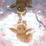  aqua_eyes character_name cherry_blossoms eevee eve_kurigoyu fur no_humans no_mouth pokemon pokemon_(creature) pokemon_(game) pokemon_rgby puddle reflection sparkle water 