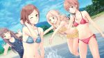  4girls armpits atelier_(series) atelier_meruru atelier_rorona atelier_totori beach bikini blue_eyes breasts brown_eyes brown_hair cleavage collarbone esty_erhard frilled_bikini frills hand_in_hair kishida_mel light_brown_hair long_hair looking_at_viewer merurulince_rede_arls multiple_girls navel one_eye_closed open_mouth outdoors red_bikini rororina_fryxell school_swimsuit short_hair sideboob smile striped striped_bikini swimsuit totooria_helmold yellow_bikini 