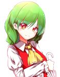  1girl ascot green_hair highres juliet_sleeves kazami_yuuka long_sleeves looking_at_viewer puffy_sleeves red_eyes red_vest rie-co simple_background smile solo sparkling_eyes touhou umbrella white_background wing_collar 