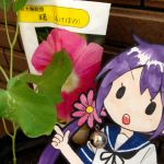  bangs bell commentary_request flower hair_bell hair_flower hair_ornament highres kantai_collection open_mouth otoufu photo pointing purple_hair school_uniform serafuku short_sleeves side_ponytail translation_request 
