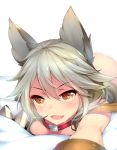  1girl animal_ears bangs blush claw_(weapon) collar dean dripping eyebrows eyebrows_visible_through_hair fang granblue_fantasy hair_between_eyes heart heart-shaped_pupils highres long_hair looking_at_viewer lying nude on_bed on_stomach open_mouth orange_eyes sen_(granblue_fantasy) silver_hair simple_background smile solo symbol-shaped_pupils weapon white_background 