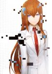  1girl absurdres brown_hair highres labcoat long_hair looking_at_viewer makise_kurisu necktie red_necktie shirt solo steins;gate violet_eyes white_shirt 