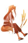  1girl animal_ears ayakura_juu brown_hair holo long_hair looking_at_viewer red_eyes simple_background sitting smile solo spice_and_wolf tail white_background wolf_ears wolf_tail 