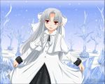  dress ice melty_blood pointy_ears red_eyes ribbon silver_hair smile snow tsukihime ultra_no_ani white_hair white_len 