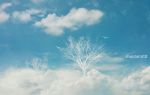  artist_name bird blue_sky clouds day light_particles no_humans original peaceful scenery shoutarou_(shoutarotttt) sky tree 