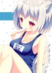  1girl animal_ears blush breasts cleavage collarbone hazakura_satsuki highres inubashiri_momiji large_breasts popsicle red_eyes school_swimsuit sexually_suggestive short_hair silver_hair sitting solo spilling swimsuit tail touhou wolf_ears wolf_tail 