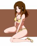  1girl breasts brown_eyes brown_hair cleavage kneeling long_hair navel solo tsukihime ue-sita yellow_background yumizuka_satsuki 