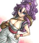  amania_orz backpack bag blue_eyes breasts cleavage dragon_quest dragon_quest_iii large_breasts merchant_(dq3) purple_hair 