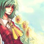  1girl ascot blue_sky breasts collared_shirt expressionless flower garden_of_the_sun green_hair kazami_yuuka long_sleeves looking_at_viewer lowres parted_lips plaid plaid_vest red_eyes red_vest semicolon shirt short_hair sky solo sunflower touhou upper_body white_shirt 