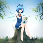  (9) 1girl blue_dress blue_eyes blue_hair bow cirno dragonfly dress frog hair_bow ice ice_wings looking_at_viewer pencil stomp touhou wings 