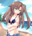  1girl beach blush bow brown_hair green_eyes hair_bow hair_ornament himajin_(starmine) if_(choujigen_game_neptune) long_hair neptune_(series) solo swimsuit 