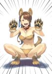  1girl animal_ears bare_shoulders beatrix_(granblue_fantasy) bikini breasts brown_eyes brown_hair claws collar dog_collar dog_ears dog_paws dog_tail fang gloves granblue_fantasy hair_ornament long_hair looking_at_viewer navel open_mouth paw_gloves paw_shoes paws ponytail shimotsuki_eight shoes signature solo spiked_collar spikes spread_legs squatting swimsuit tail 