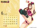  blue_eyes boots breasts brown_hair calendar corey_sniper corset elbow_pads highres homare_(fool's_art) homare_dou kicking large_breasts long_hair open_mouth sideboob wallpaper wrestle_angels wrestle_angels_survivor_2 wristband 