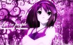   polychromatic purple suzumiya_haruhi suzumiya_haruhi_no_yuuutsu tagme  