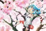  blue_eyes blue_hair camera cherry_blossoms floral_pattern floral_print from_above fukuoka_asahi hair_ornament original purse sandals short_hair 