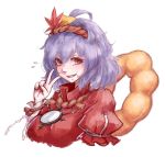  1girl commentary_request doughnut flying_sweatdrops food hair_ornament highres hoshibuchi jewelry looking_at_viewer mirror necklace portrait pose puffy_short_sleeves puffy_sleeves purple_hair red_eyes short_over_long_sleeves short_sleeves smile solo touhou v yasaka_kanako 