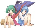  1girl 2girls animal_ears bamboo_broom barefoot blue_eyes blue_hair broom dog_ears dress feet frilled_skirt frills green_eyes green_hair heterochromia jagabutter karakasa_obake kasodani_kyouko multiple_girls panties pantyshot pantyshot_(sitting) red_eyes shirt short_hair sitting skirt smile solo tatara_kogasa touhou umbrella underwear vest 