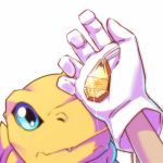  1boy agumon blue_eyes commentary_request crest digimon fang gloves hawe_king looking_up lowres pov pov_hands simple_background sparkle tag white_background white_gloves yagami_taichi 