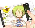  1girl @_@ blue_dress cellphone closed_eyes commentary_request crazy_eyes daiyousei dress fairy_wings female_pov fingers flower green_hair kuresento lotus_position phone pov reflection side_ponytail sitting smartphone smile sunflower taking_picture touhou when_you_see_it wings 