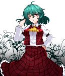  1girl breasts green_hair highres kazami_yuuka large_breasts long_sleeves open_clothes open_vest red_eyes red_skirt rihito_(usazukin) skirt skirt_set solo touhou vest 