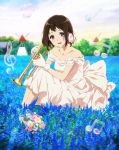  1girl blue_flower brown_hair clouds collarbone dress flower full_body glass_slipper gloves hair_flower hair_ornament hibike!_euphonium highres instrument jewelry looking_at_viewer musical_note nakaseko_kaori necklace official_art open_mouth outdoors pink_eyes sitting solo treble_clef trumpet white_gloves windmill 