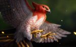  beak bird blurry chiakiro closed_mouth depth_of_field feathers no_humans outstretched_wings pokemon pokemon_(creature) pokemon_(game) pokemon_xy talonflame talons yellow_eyes 