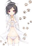  1girl animal_ears bell bell_collar black_hair breasts cat_cutout cat_ears cat_lingerie cleavage collar collarbone dress_shirt groin hair_ornament hairclip hikigaya_komachi navel open_clothes open_shirt panties shirt short_hair side-tie_panties simple_background small_breasts solo tama_(05728) thigh-highs underwear violet_eyes white_background white_legwear white_panties x_hair_ornament yahari_ore_no_seishun_lovecome_wa_machigatteiru. 