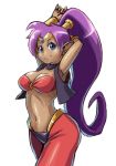  1girl armpits arms_behind_head arms_up bandeau blue_eyes breasts cleavage dark_skin earrings harem_outfit harem_pants jewelry long_hair midriff navel pants pointy_ears ponytail purple_hair shantae shantae_(character) smile solo tak_(takumi_fortitude) vambraces very_long_hair vest 