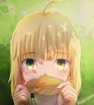  1girl ahoge blonde_hair blush commentary_request fate/stay_night fate_(series) green_eyes leaf looking_at_viewer magicians_(zhkahogigzkh) saber short_hair solo 