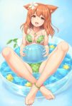  1girl :d animal_ears anklet bangs bare_shoulders barefoot bikini blue_background blush bow_bikini breasts brown_eyes brown_hair cleavage collarbone commentary_request crossed_ankles flower food frilled_bikini frills full_body gelatin green_bikini hair_flower hair_ornament head_tilt holding holding_food in_bowl in_container in_food jewelry long_hair looking_at_viewer necklace open_mouth original pendant plaid plaid_bikini sand-rain sasaame sitting smile solo star star_necklace swimsuit 