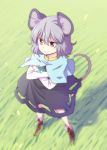  1girl :&gt; animal_ears capelet crossed_arms dra full_body grey_hair mouse_ears mouse_tail nazrin pendulum raised_eyebrow red_eyes solo tail touhou 