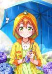  animal blush green_eyes hoodie hoshizora_rin love_live!_school_idol_project orange_hair rain rainciat short_hair smile umbrella 