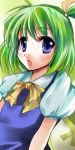  bad_id blue_eyes daiyousei green_hair lowres ribbon short_hair touhou 