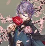  1boy blue_eyes blurry branch cherry_blossoms depth_of_field flower japanese_clothes kasen_kanesada male_focus oniyanagi petals purple_hair smile touken_ranbu 