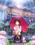  1girl black_eyes black_hair breasts cat flower ground_vehicle hydrangea kitten original outdoors rain revision school_uniform sign skirt sky small_breasts socks squatting train umbrella vania600 