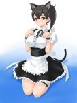  :o animal_ears apron black_hair blush brown_eyes cat_ears cat_tail dress highres kaga_(kantai_collection) kantai_collection leg_garter maid paw_pose rasukaru seiza side_ponytail sitting tail waist_apron wrist_cuffs 