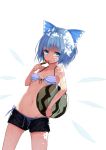  1girl ball beachball bikini blue_bikini blue_bow blue_eyes blue_hair bow breasts cirno dappled_sunlight day hair_bow highres homo_1121 ice ice_wings looking_at_viewer navel outdoors popsicle shade short_hair side-tie_bikini small_breasts solo standing striped striped_bikini summer sunlight swimsuit touhou water watermelon_bar wet wings 