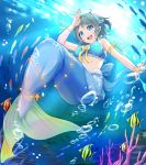  blue_eyes blush fishes grey_hair love_live!_sunshine!! mermaid short_hair smile underwater watanabe_you 